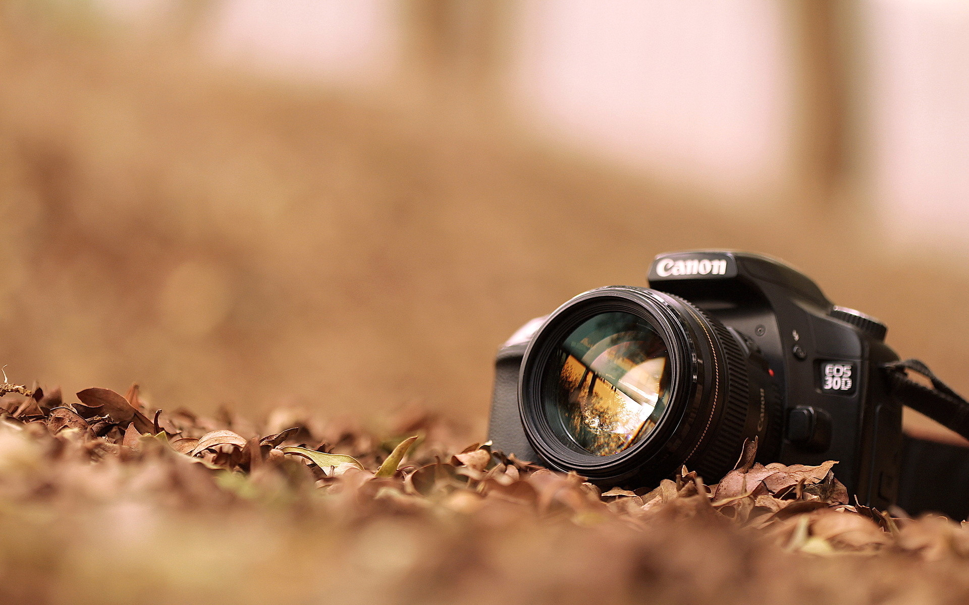 Prime Lens Visuals
